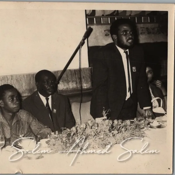 SAS in Egypt 1964 65000001