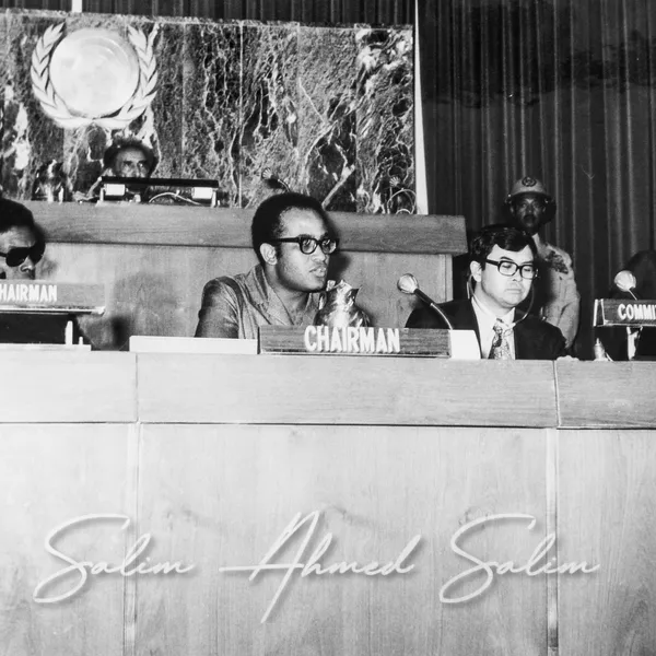 SAS Chairman of the Committee of 24 25