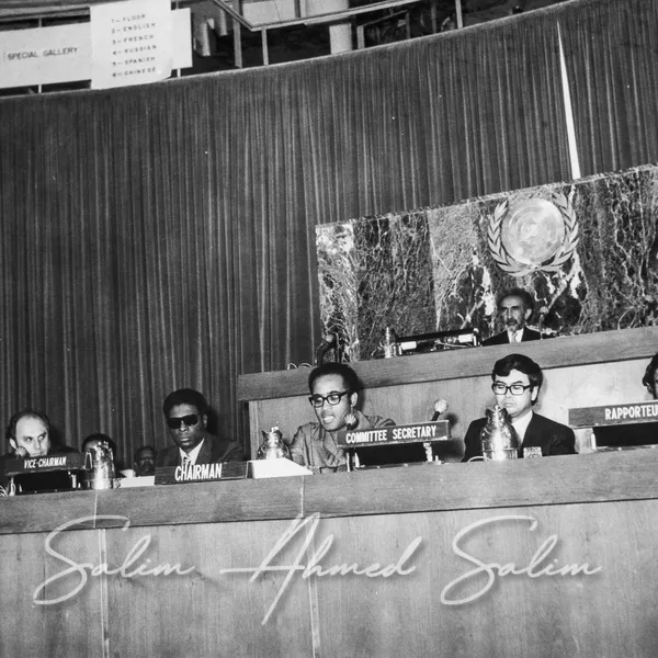 SAS Chairman of the Committee of 24 28