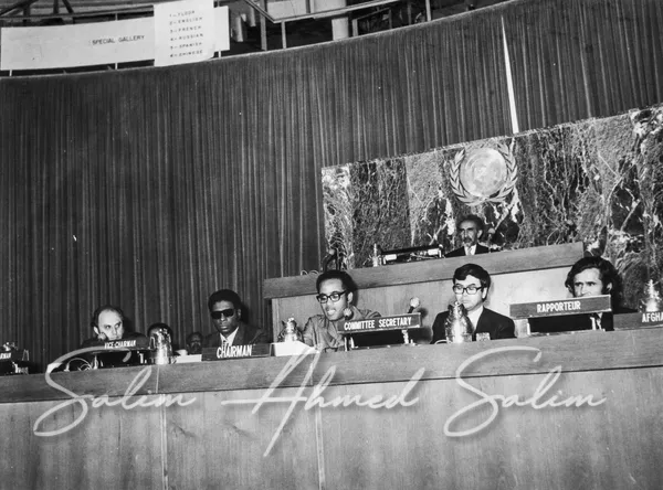 SAS Chairman of the Committee of 24 28