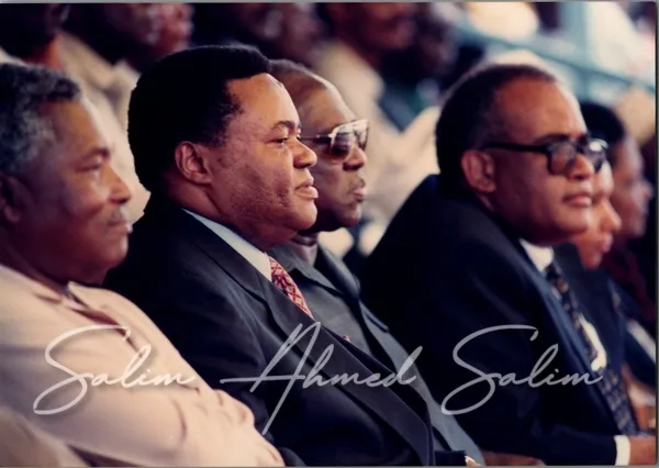 Znz revolution Celebrations 1994000063