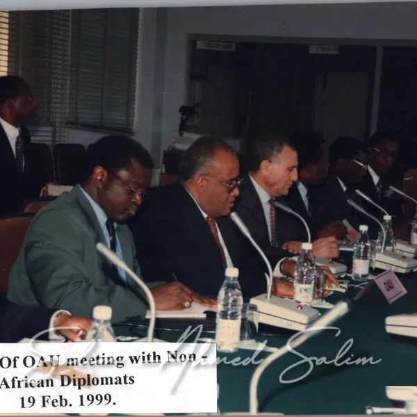 SAS OAU February 1999000003