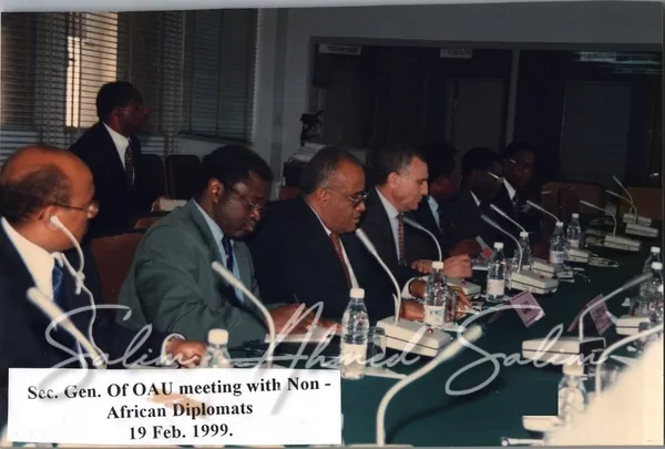 SAS OAU February 1999000003