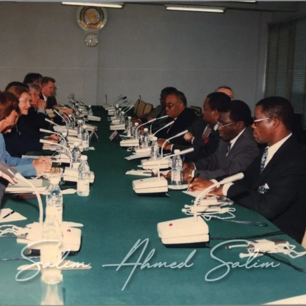 SAS OAU February 1999000004