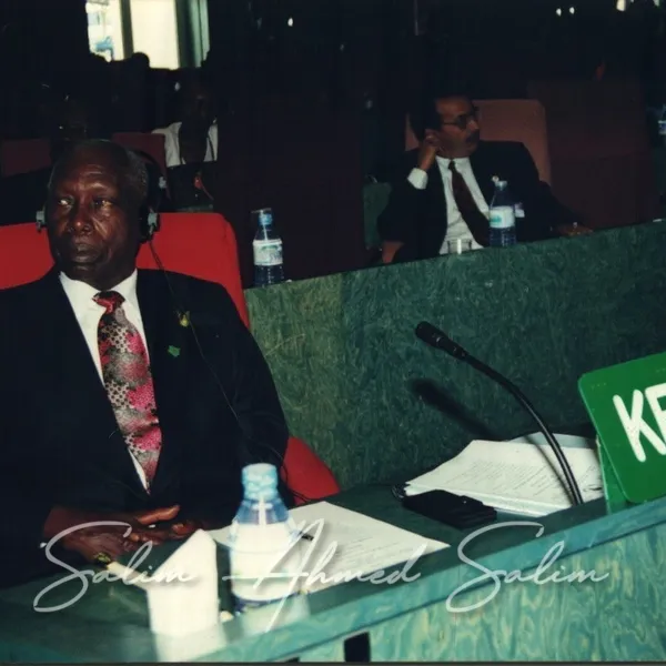 SAS African Summit 2001000003