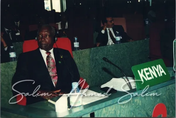 SAS African Summit 2001000003