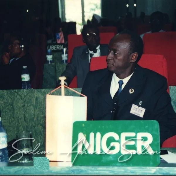 SAS African Summit 2001000004