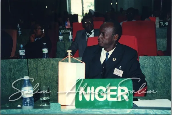 SAS African Summit 2001000004