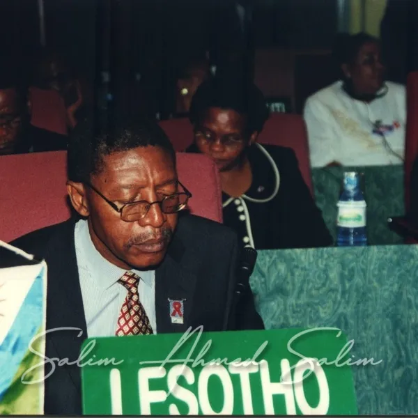 SAS African Summit 2001000005