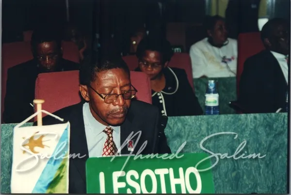 SAS African Summit 2001000005