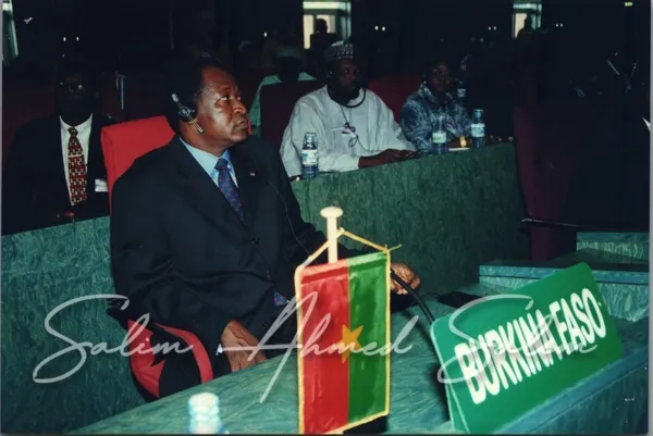 SAS African Summit 2001000008