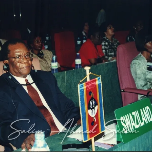 SAS African Summit 2001000010