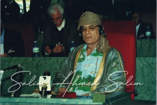 SAS African Summit 2001000011