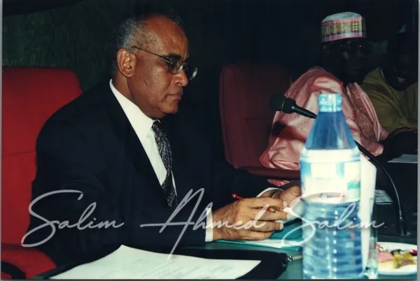 SAS African Summit 2001000018