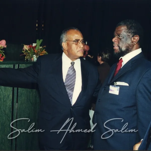 SAS African Summit 2001000019