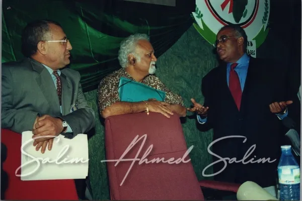 SAS African Summit 2001000024