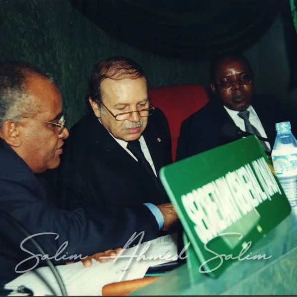 SAS African Summit 2001000026