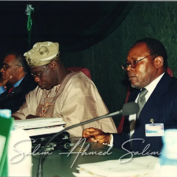 SAS African Summit 2001000037