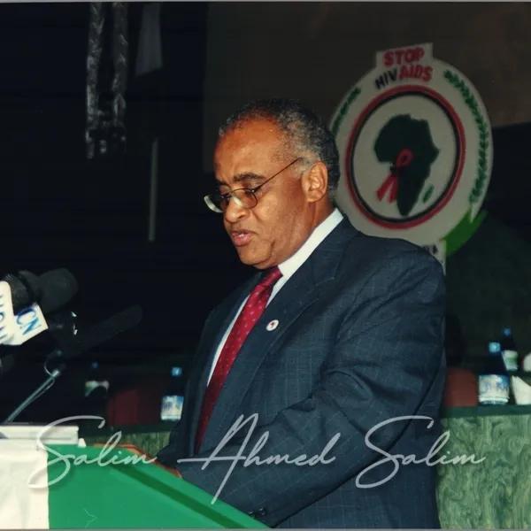 SAS African Summit 2001000062