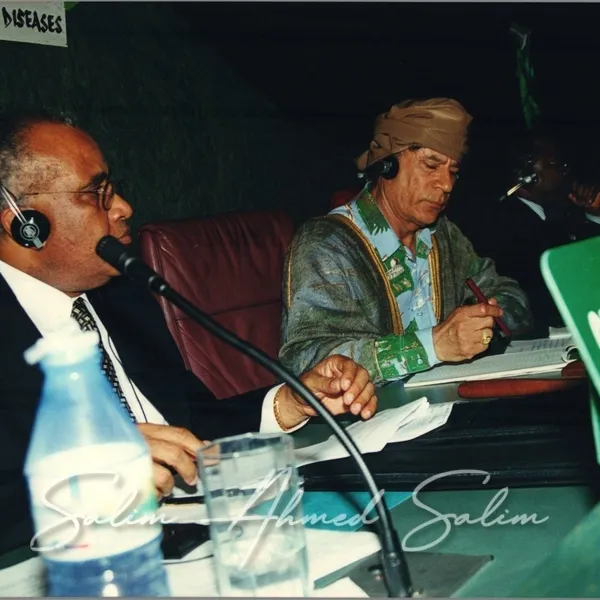 SAS African Summit 2001000063