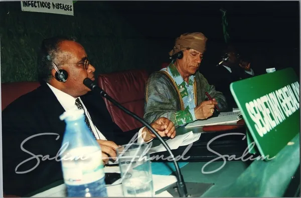 SAS African Summit 2001000063