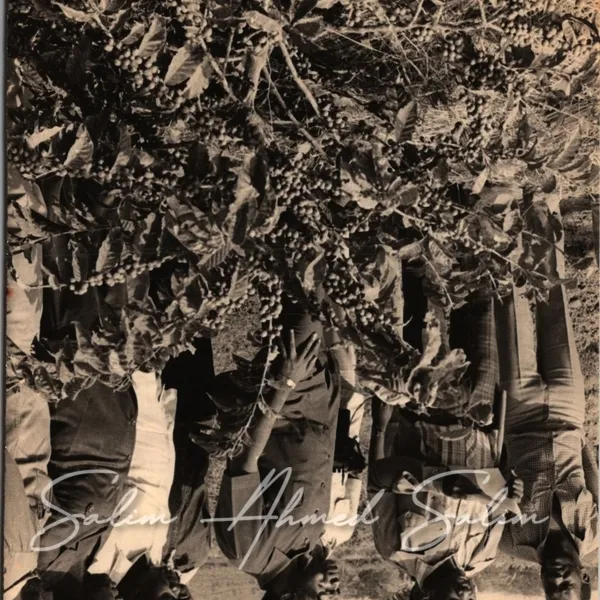 SAS Shirika la Habari la Tanzania000009