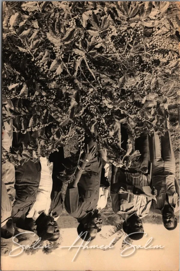 SAS Shirika la Habari la Tanzania000009