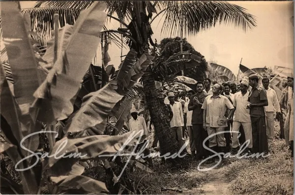 SAS Shirika la Habari la Tanzania000008