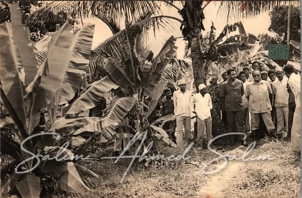 SAS Shirika la Habari la Tanzania000007