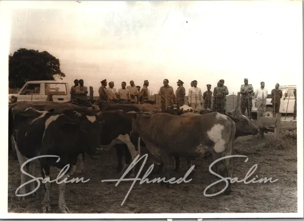 SAS Minister of Defence 1985 1989000007